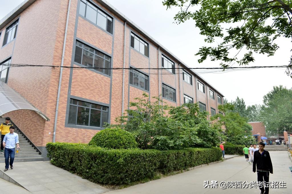 陕西艺术职业学院2020年分类考试招生章程