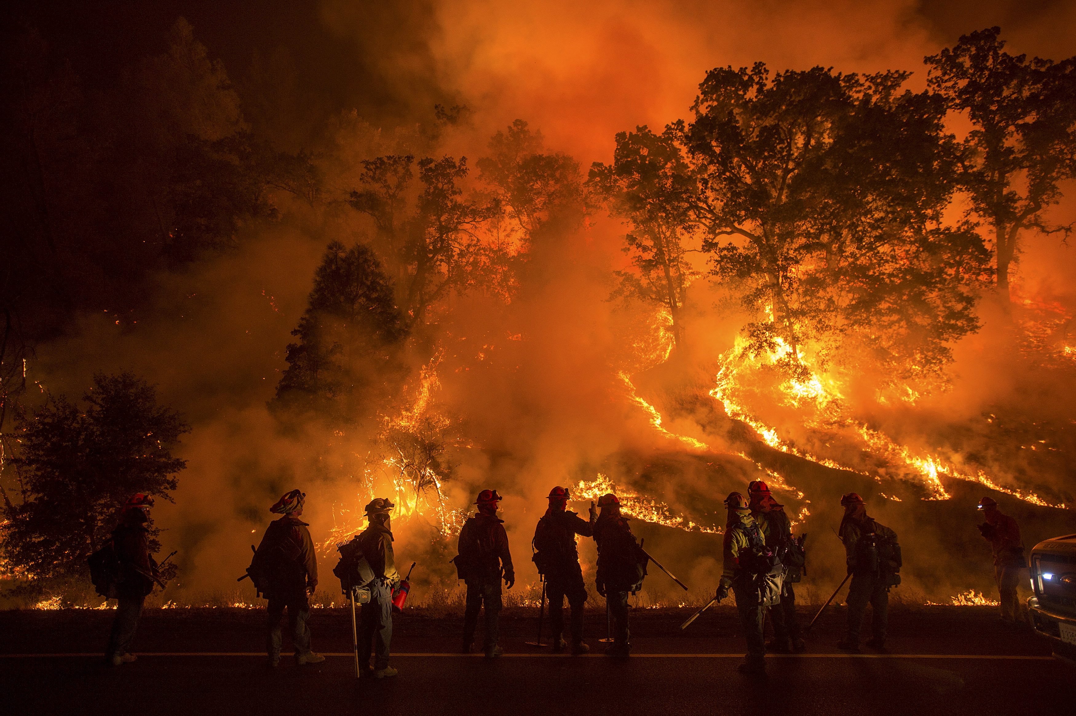 森林火灾形成的烟雾笼罩整个南加州地区，并威胁巨大的红杉树