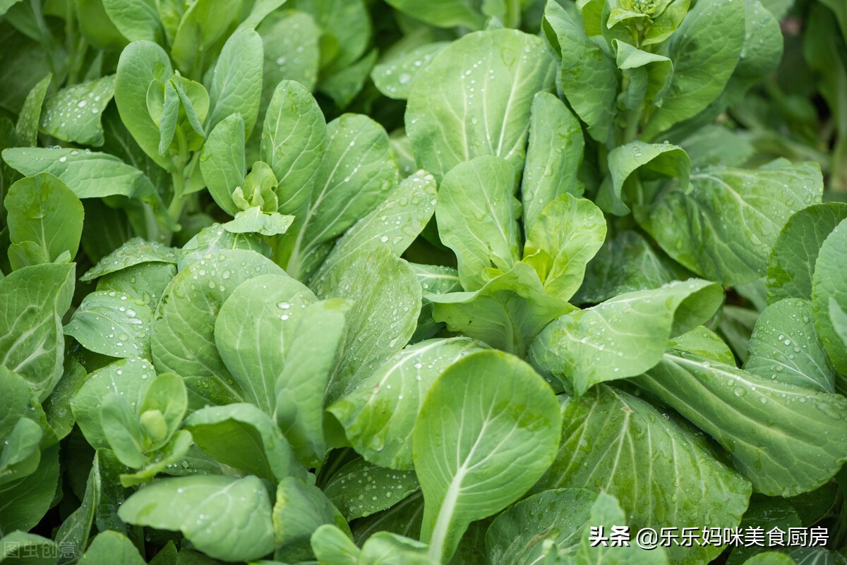 减肥期控糖很重要，6种低糖蔬菜要多吃，维C含量高，低脂又营养