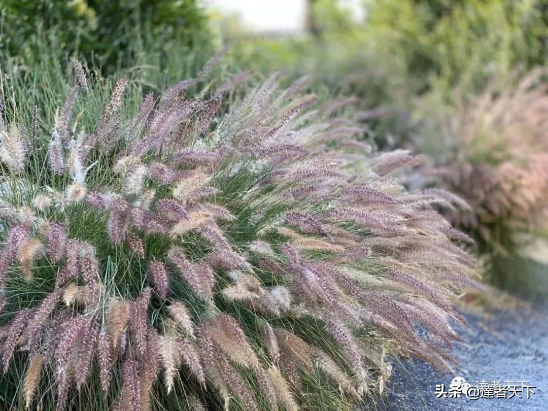 浅谈中美夫妻相处的差异