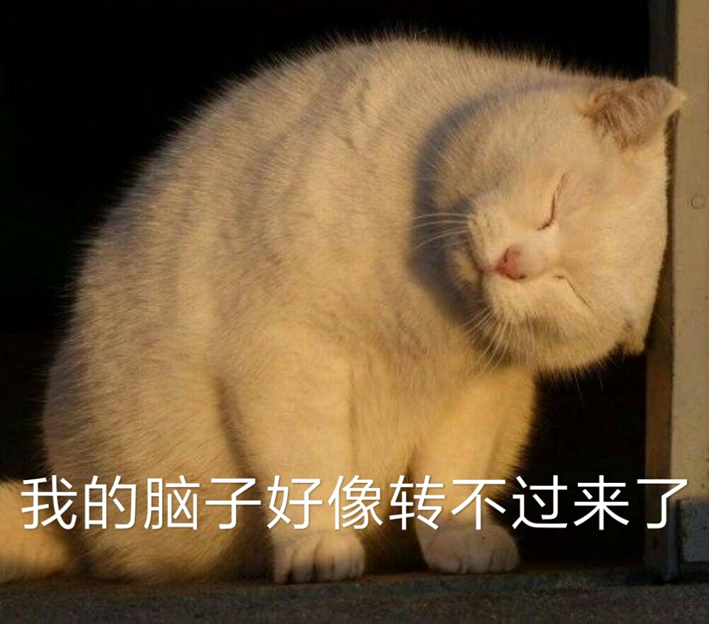 物理专业，到底“坑”在哪里？