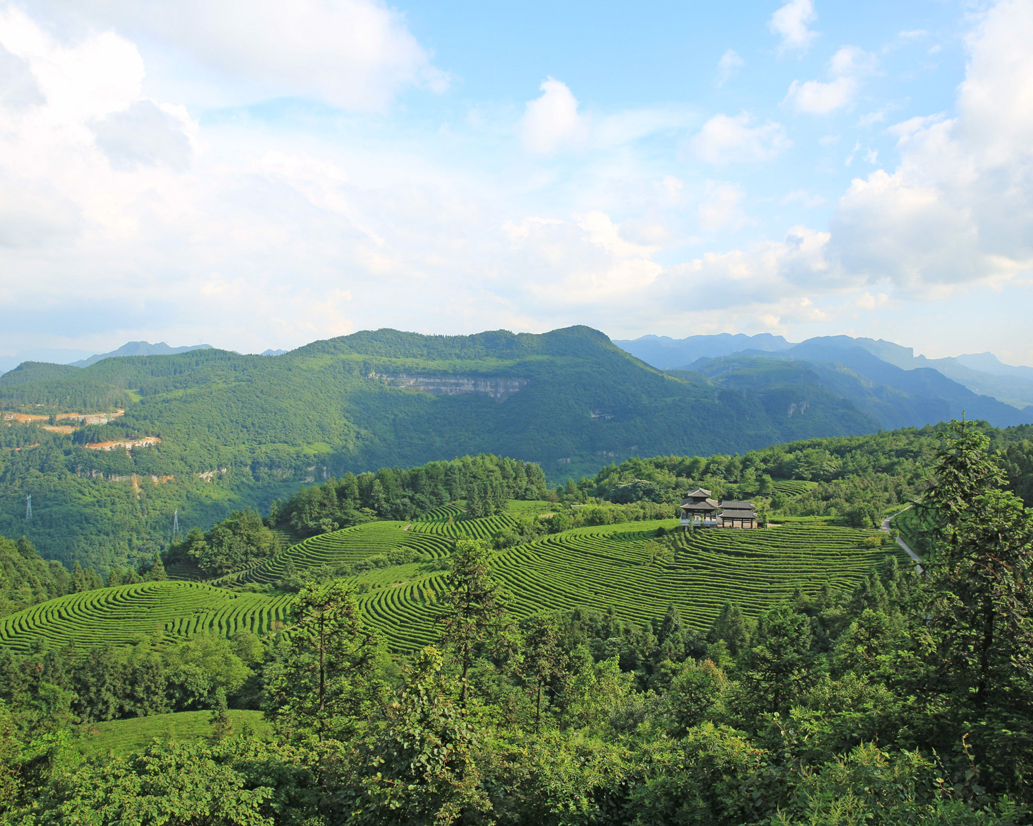 重庆避暑胜地:武隆区白马山天尺情缘,网红"飞天之吻"所在地
