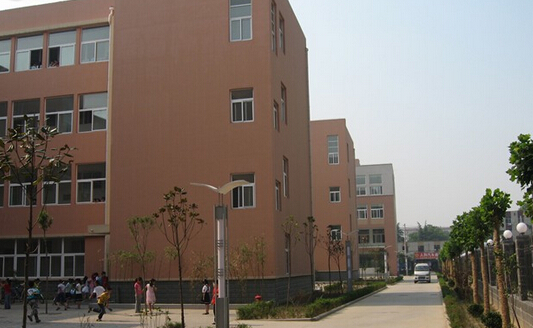 收藏！郑州各区域重点小学汇总