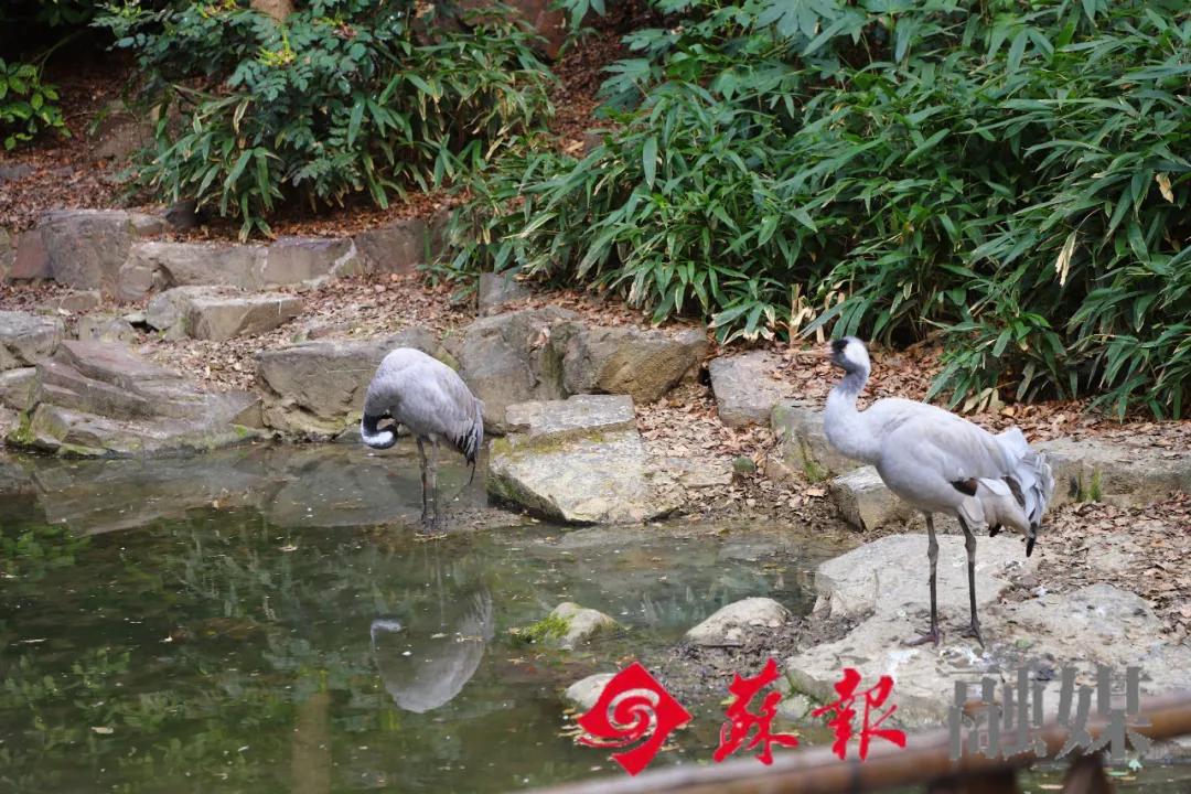 假期余额不足，苏州还有这十处美景值得打卡