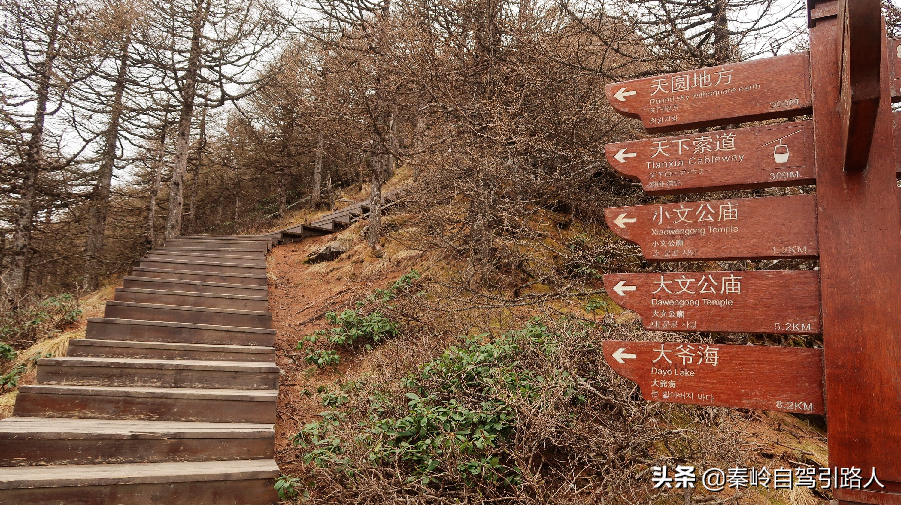 秦岭主峰｜太白山，教你一天领略太白美景，还不花冤枉钱