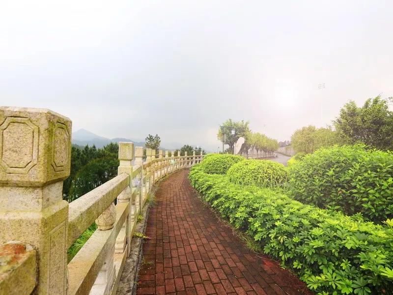 2020年广东最美的中职学校排名，你的学校可以C位出道吗？