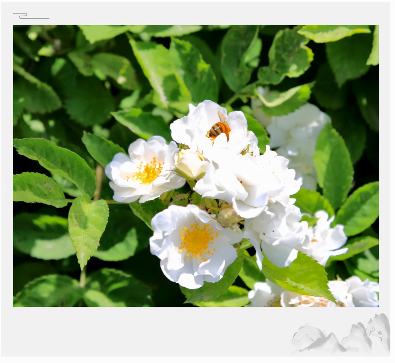 坐拥“专属地铁”，有7大美食集结地！东北这所大学“顶尖”配置太绝！