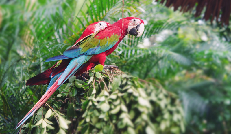 三天三夜欢乐长隆之旅（附攻略）