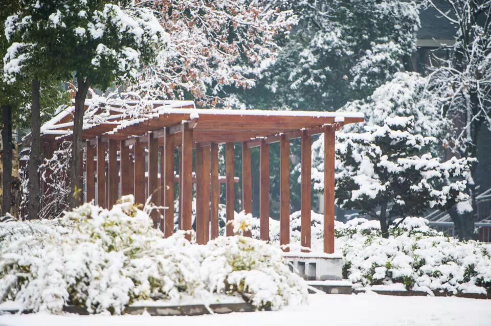 武汉2020年高考喜报，二中揽获市文科状元，武昌实验中学获区状元