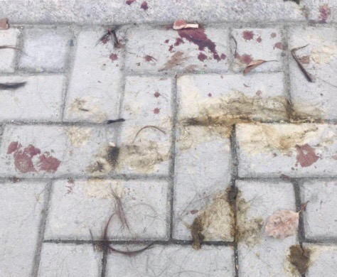 温州女子被打因要200万嫁妆，男方说她偷情 律师称故意伤害侮辱或判3年以下