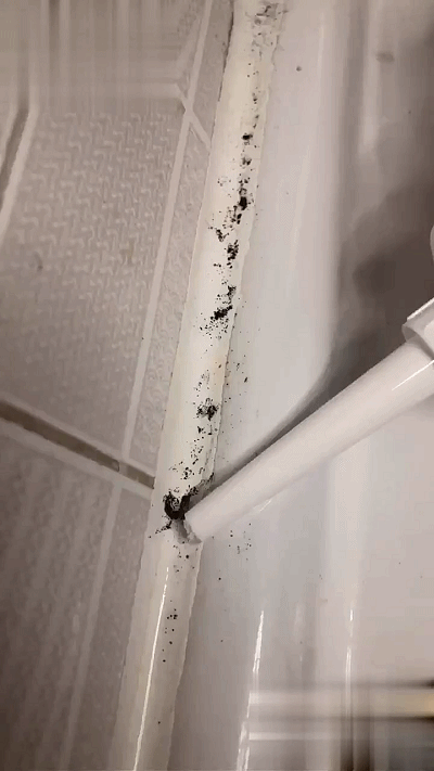 建议大家多花一点钱，添置这些家居用品，能让家里时时干净整洁