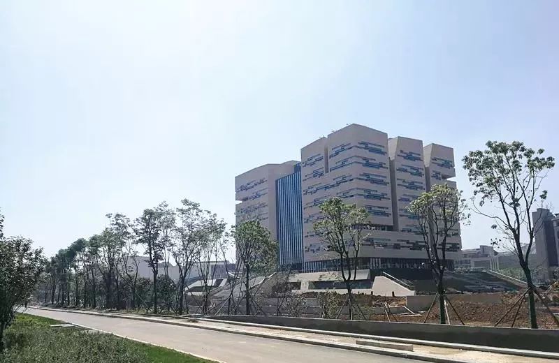 武汉高校图书馆对外开放，哪个才是最值得打卡的？