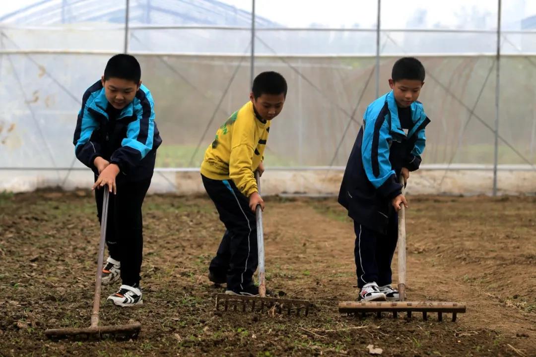 泗阳县实验小学新学期劳动课纪实(图7)