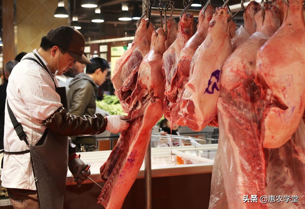 今日猪肉多少钱一斤？价格还会反弹吗？2021后期猪肉行情走势预测
