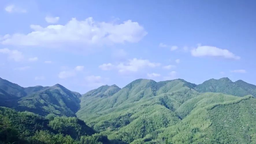 欧豪演过的电视剧(欧豪演过的电视剧大全 视频)