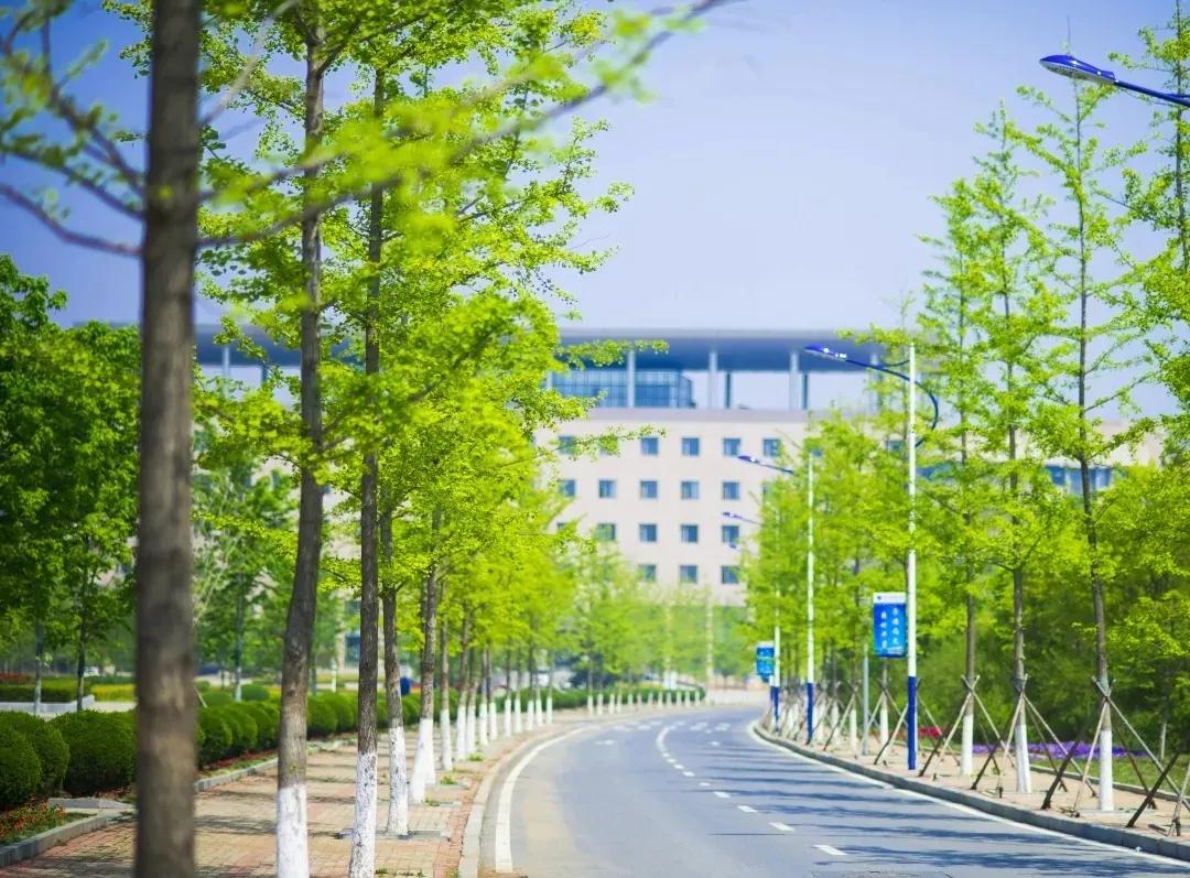 我校2021年公开招聘高层次和急需紧缺人才招聘公告（第一批）