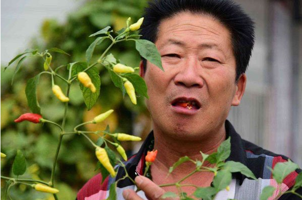 中国辣王李永志：一餐5斤辣椒配白酒，32个魔鬼辣椒击败印度老人