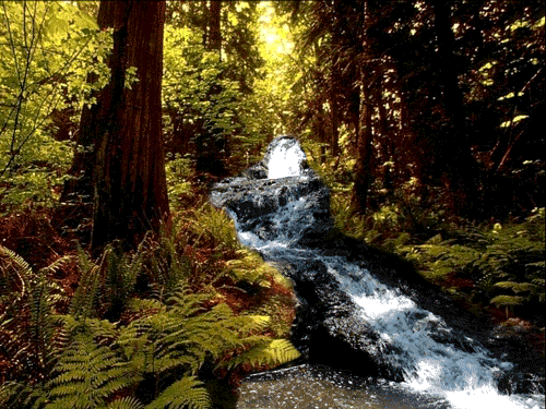 快来向水学习！