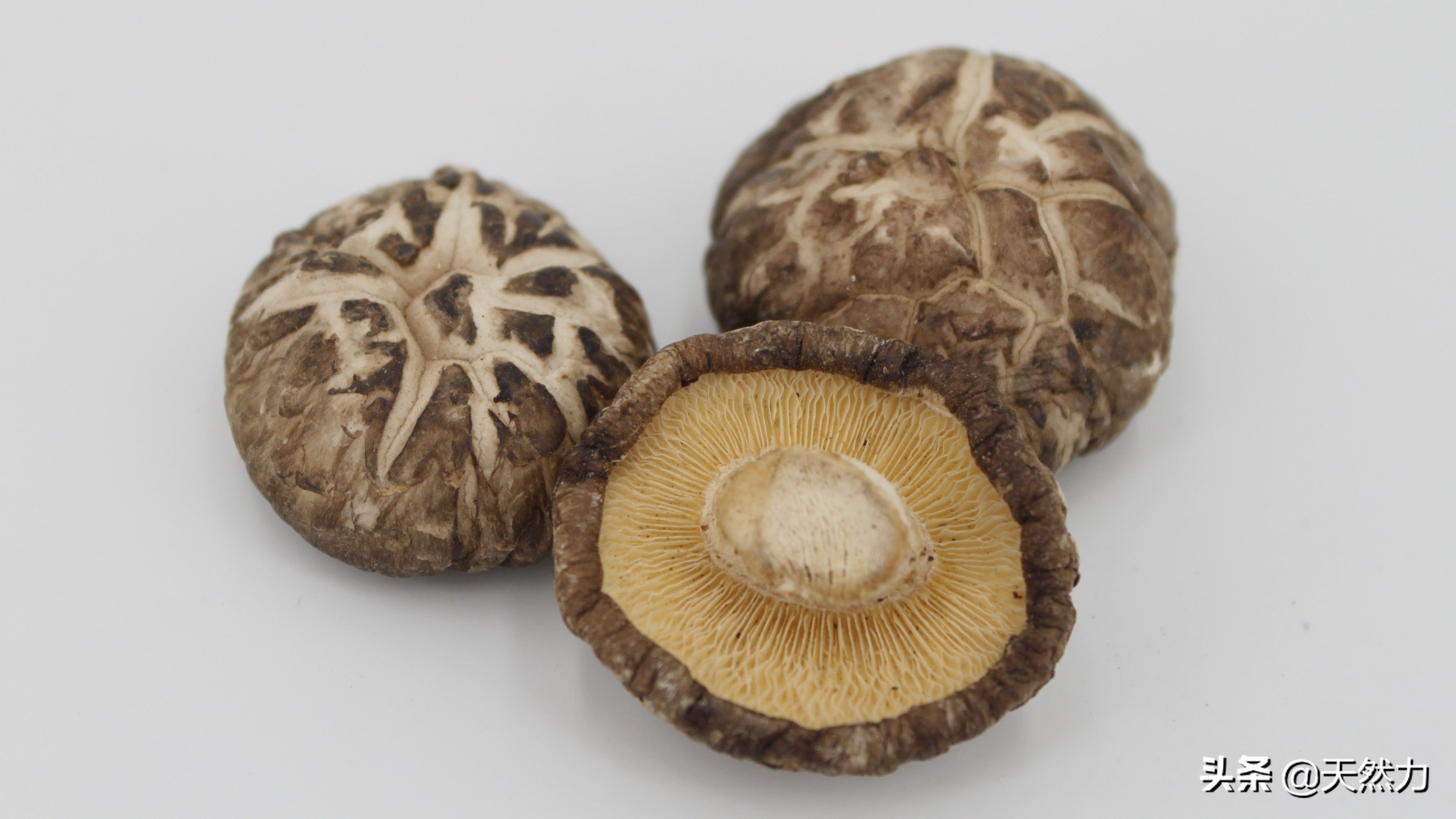 花菇 香菇(花菇和香菇的区别,有三大特征,可以轻易区分) - 趣味头条