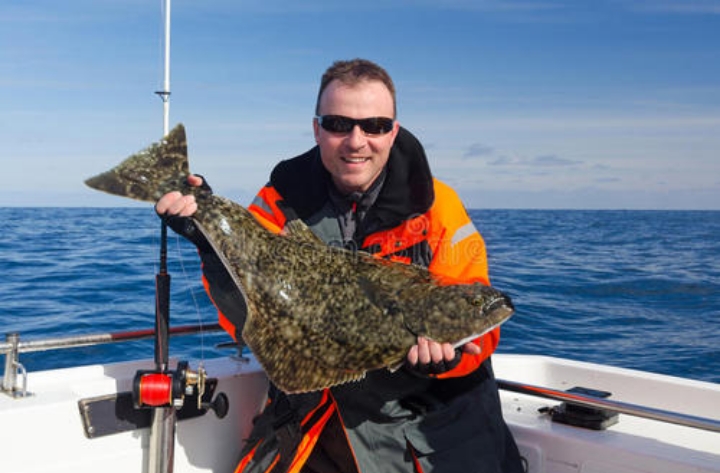 Fish in English: Essential Vocabulary for Online Language Learning