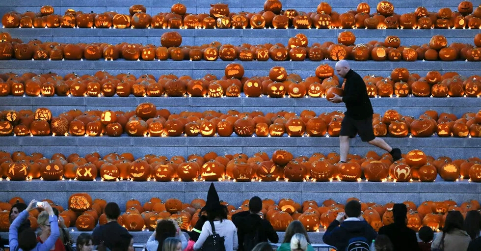 院校 | 你成功从中央圣马丁毕业了吗？揭秘最难毕业的高校