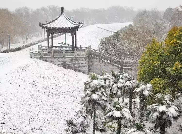 阜阳市气象台：后天，阜阳有暴雪！积雪4-6厘米！