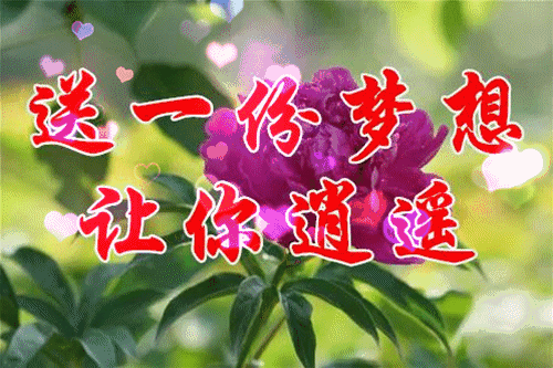 11月19日,一世牵挂,一生朋友,送给在乎的朋友,愿友谊天长地久