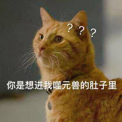 惊奇队长噬元兽表情包：我噬元兽不发飙，你当我是橘猫