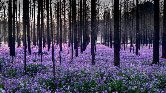 那些校名里含有南京的高校，你知道它们早就不在南京了吗？