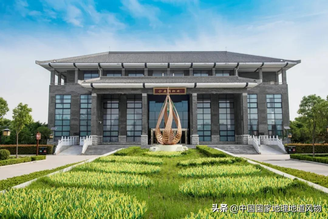 想不到！一粒小麦竟这样改变了中国