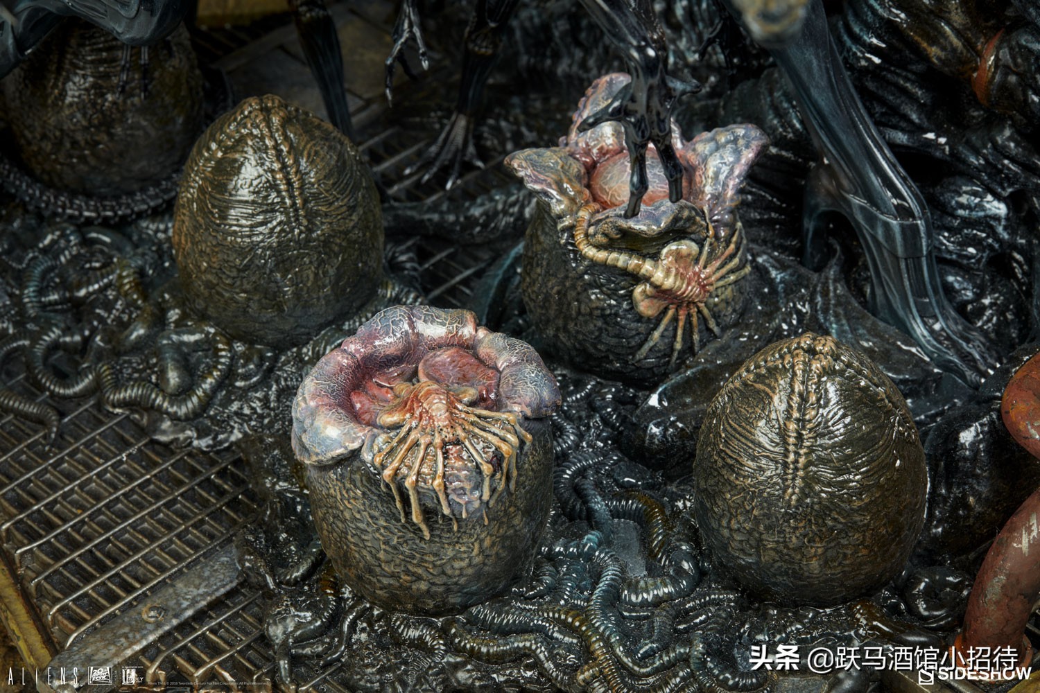 颠覆你认知的异形种群研究报告:异形蛋和抱脸虫