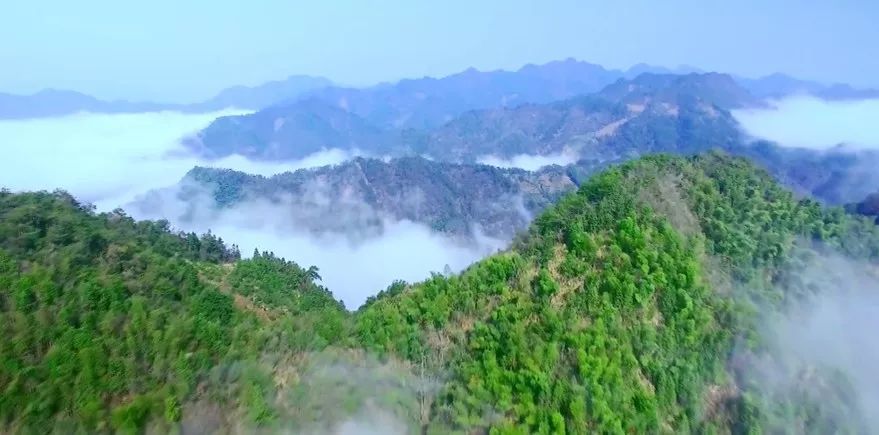 欧豪演过的电视剧(欧豪演过的电视剧大全 视频)