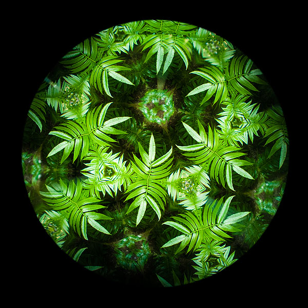 DIY自制万花筒，简单易学的摄影小创意就怕你不知道