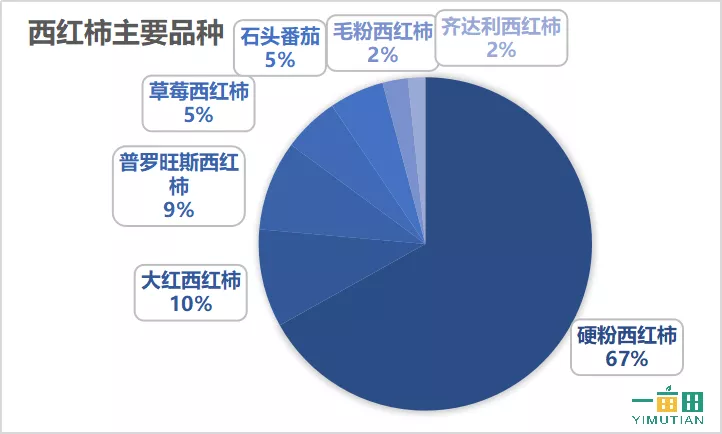 价差达60%！什么时候卖西红柿最赚钱？一亩田告诉你卖货好时机