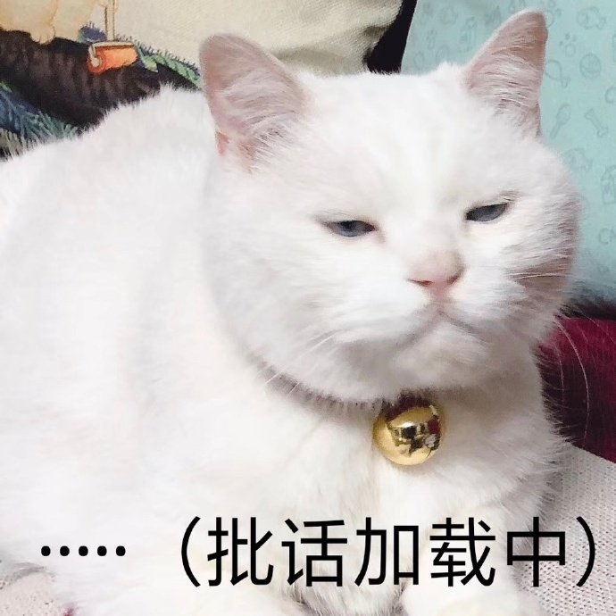 猫咪表情包合集｜嗨，在吗？在吗？在吗？