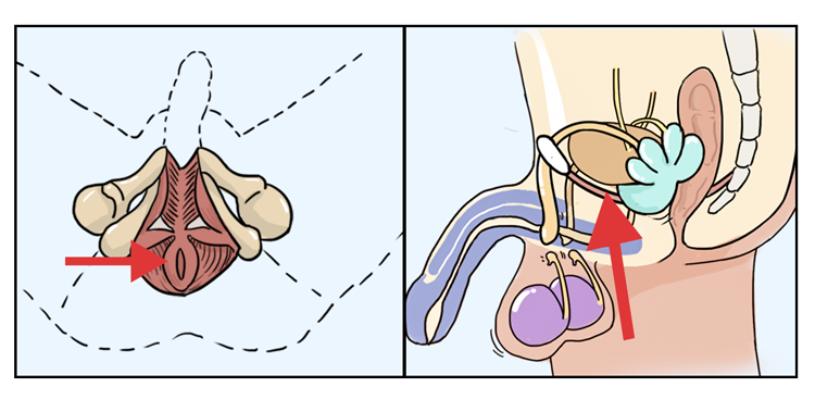 吃男生的小丁丁的图片(面对现实吧) - 赤虎壹号