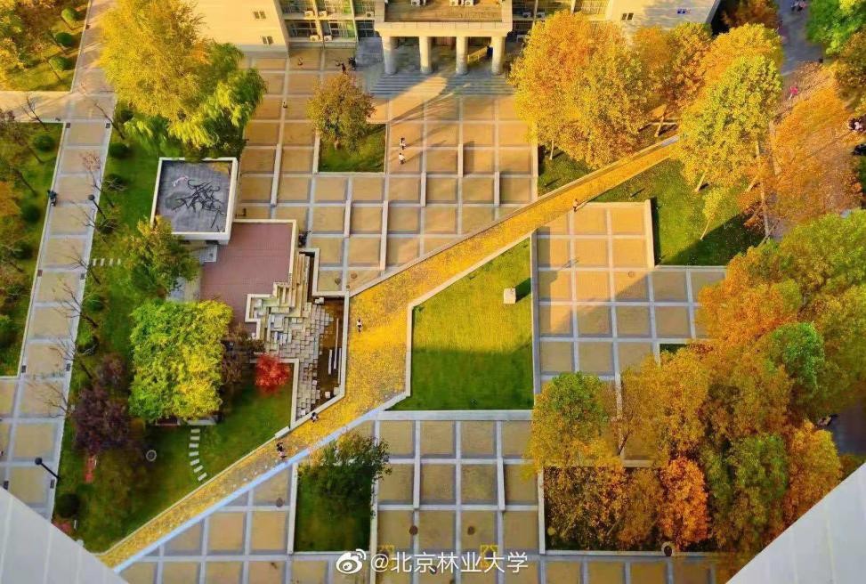 北京发展“最快”的大学之一！建校于寺庙，2个学科全国第一！