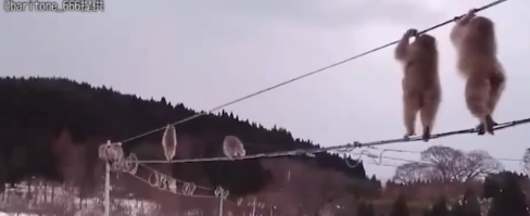 过期疫苗案17人被处理，副县长被立案调查「三分钟法治新闻全知道」