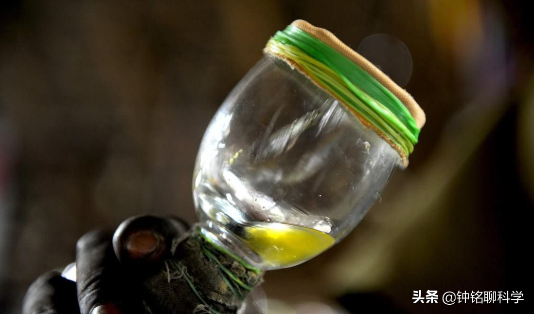 中国第一毒蛇究竟有多毒？0.08毫克就致人死亡，南方农村很常见
