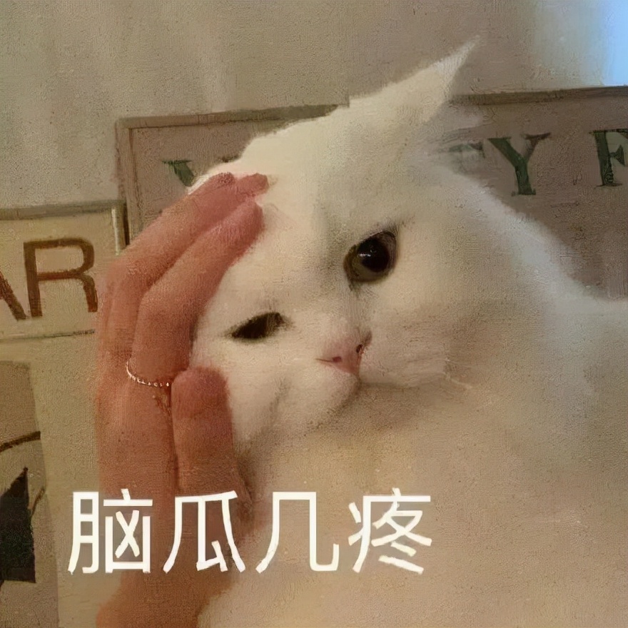 表情包：要不你来讲？