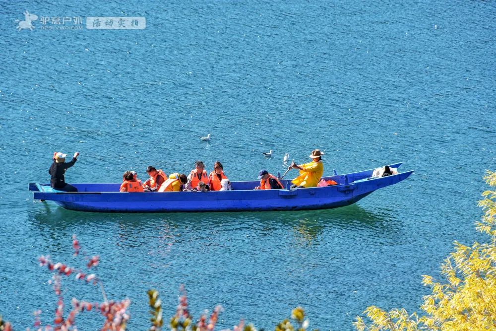 醉美泸沽湖，藏在冬日里！水天一色，海鸥翱翔，治愈的风光