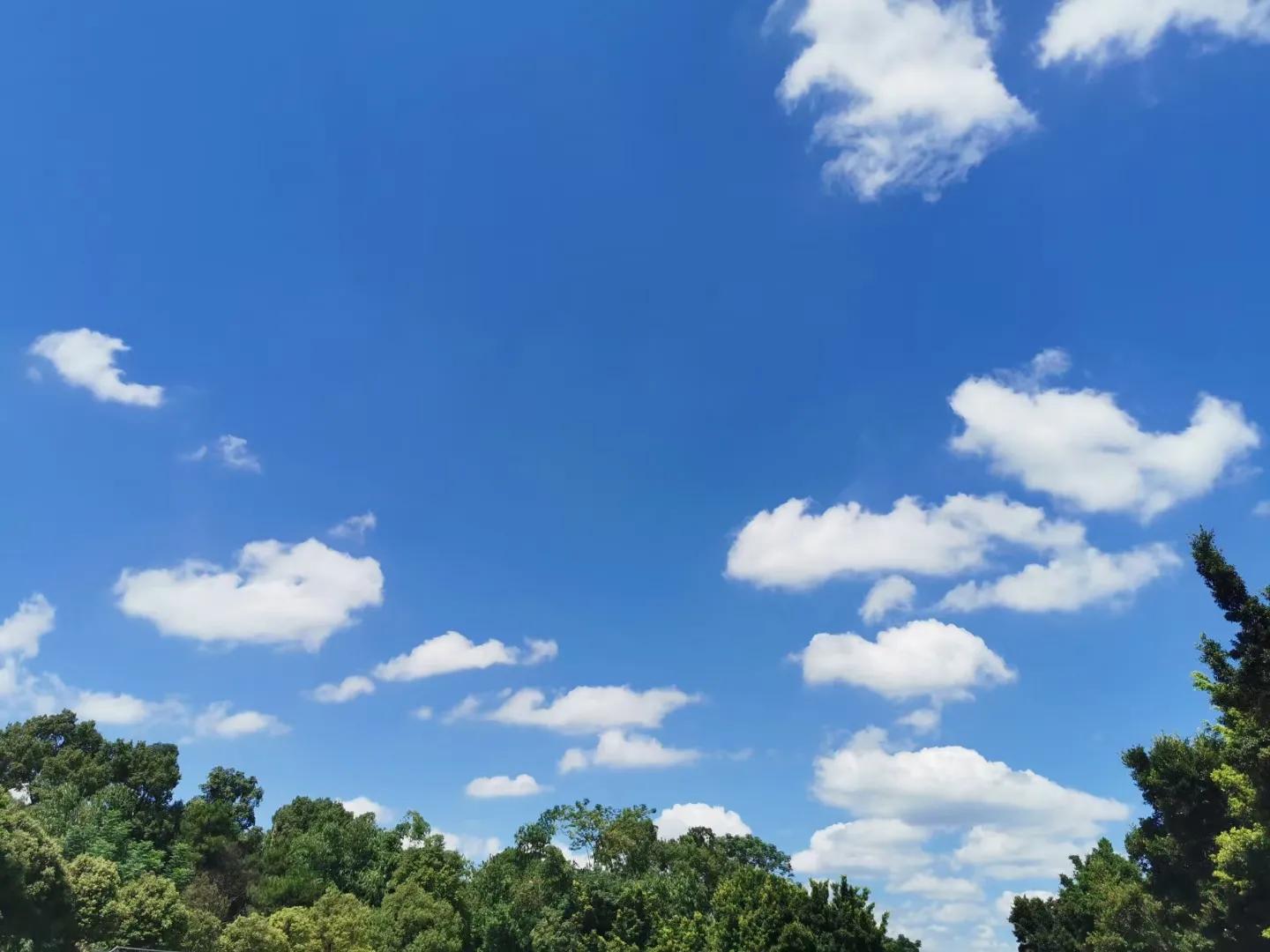 今天讲了这个数学故事，小孩子好开心