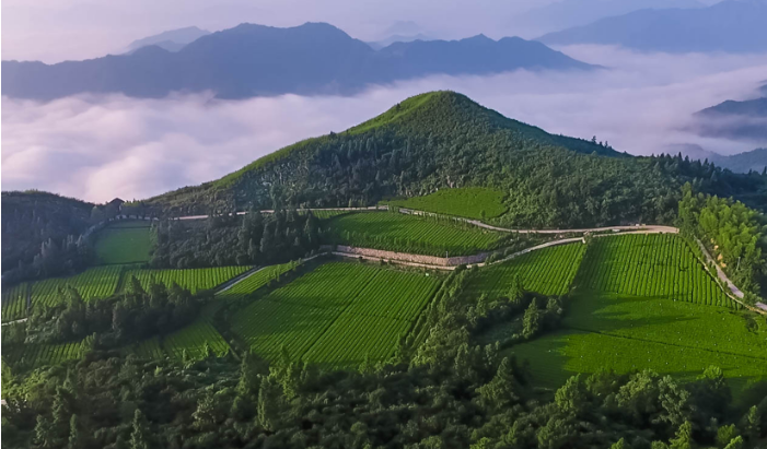 长沙出发自驾2.5h直达，这个安化县的仙境藏不住了