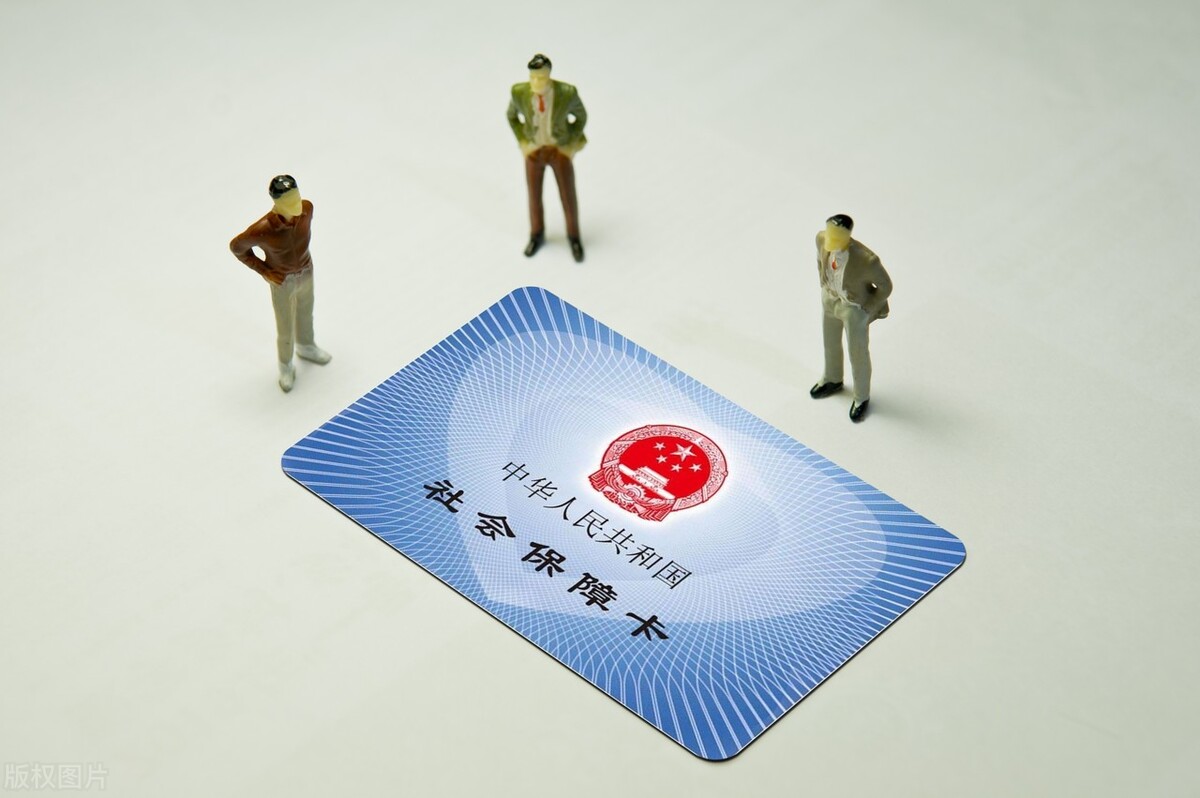 缴纳养老保险费用(缴纳养老保险费用多少)