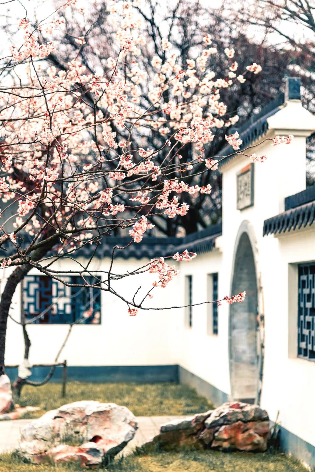 3月最值得去的绝美旅行地,是时候安排一下自己的旅行清单啦