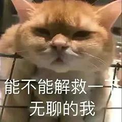 猫咪表情包 无聊的一天