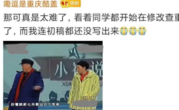 不同专业毕业论文“查重”，法学专业法条标红，会计专业也不好过