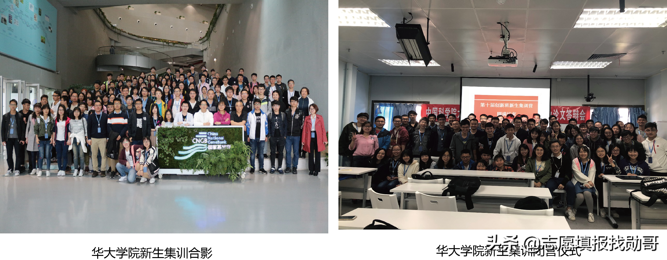 大学新校区“东南飞”成趋势，泄露了哪些秘密？