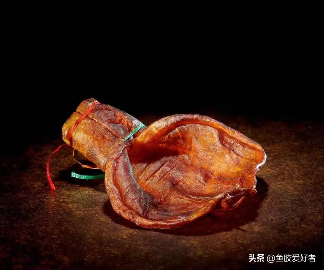 鱼胶越大越好吗？赶快学会这几个技巧，难怪之前都白吃了