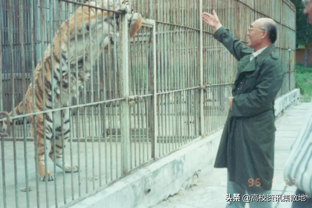 王牌专业就業率竟然最低！探寻东北林业高校的翘楚